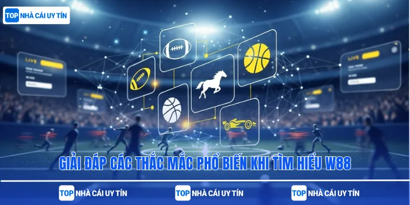 Giải đáp các thắc mắc phổ biến khi tìm hiểu W88