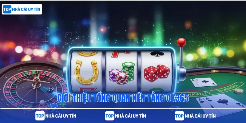 Giới thiệu tổng quan nền tảng OK365