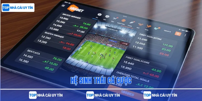 Hệ sinh thái cá cược