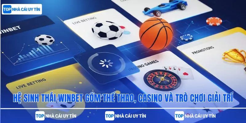 Hệ sinh thái Winbet gồm thể thao, casino và trò chơi giải trí