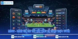 MB66 – Đánh Giá Chi Tiết Nền Tảng Cá Cược Trực Tuyến