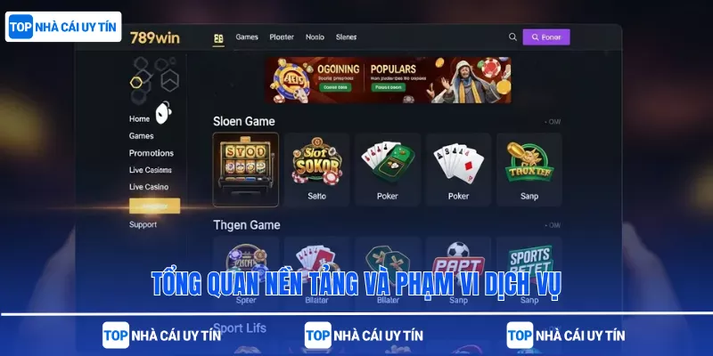 Tổng quan nền tảng và phạm vi dịch vụ