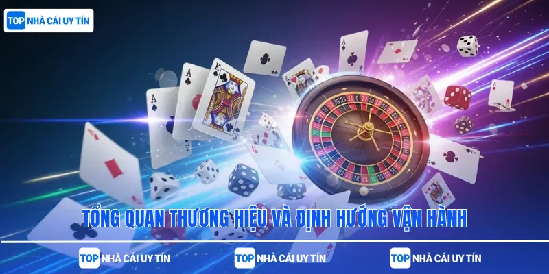 Tổng quan thương hiệu và định hướng vận hành